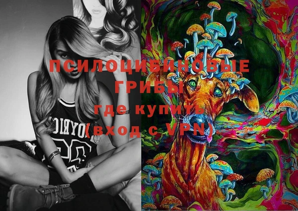 ПСИЛОЦИБИНОВЫЕ ГРИБЫ Алексин